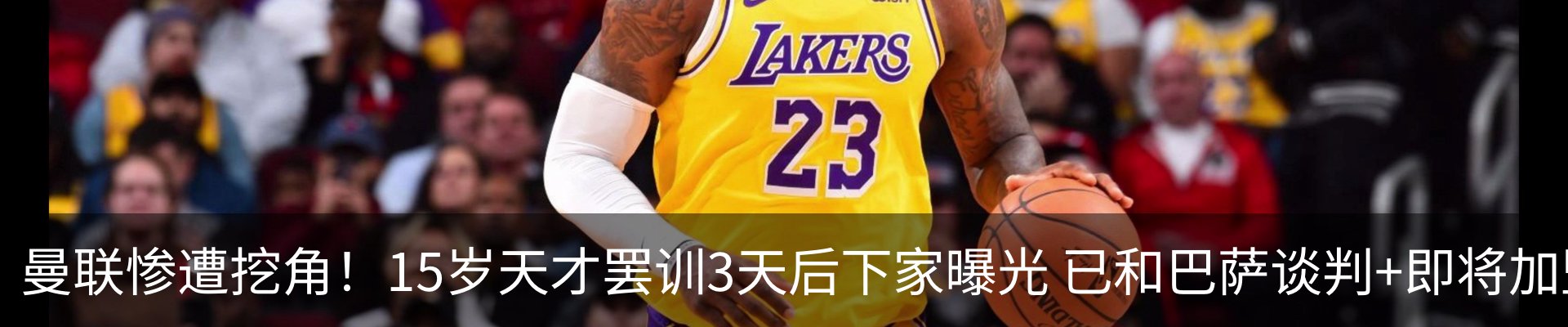 新闻动态